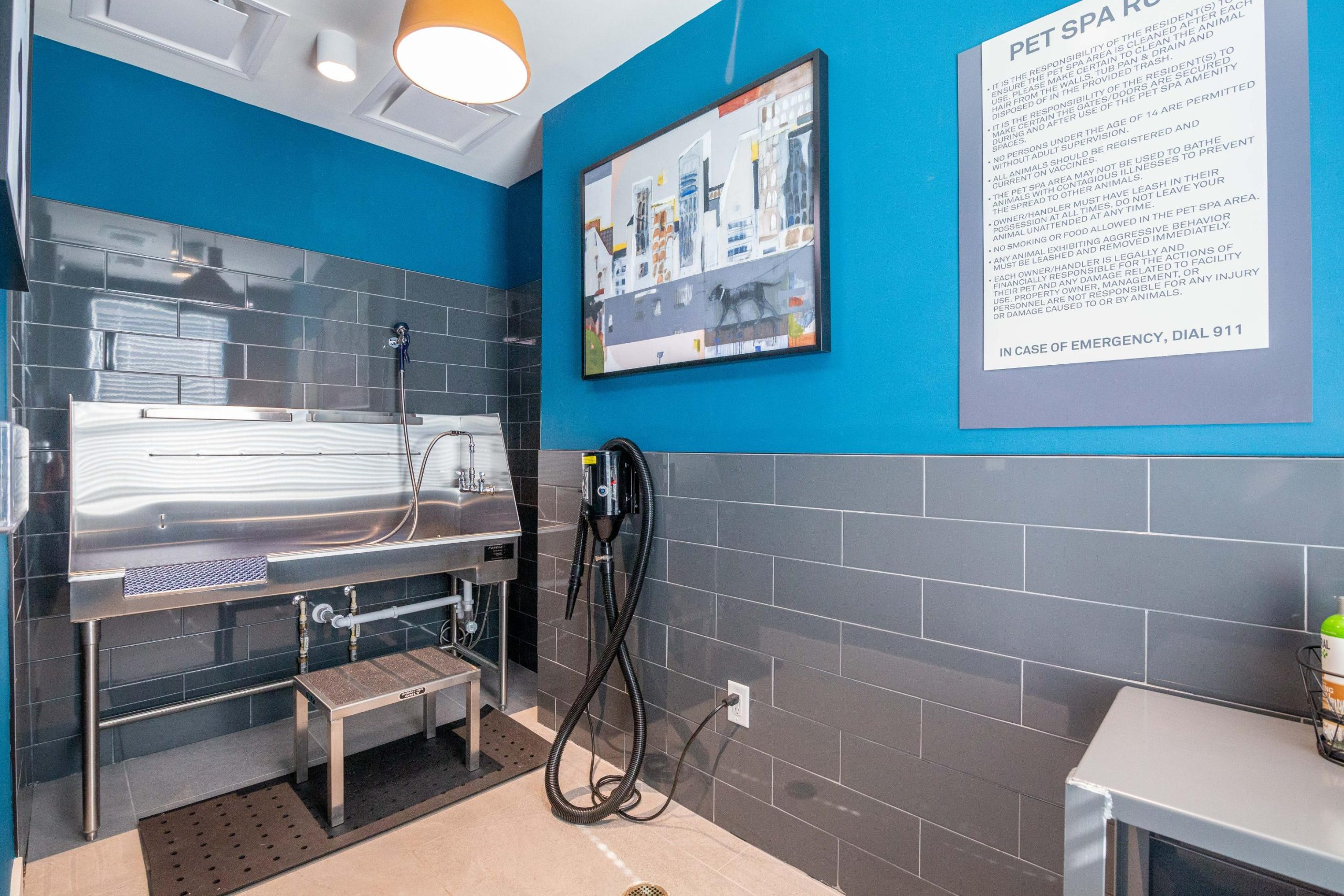 Notion_LuxuryApartments_Pet Wash_DecaturGeorgia